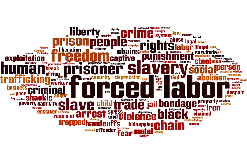 Forced Labor - Terms